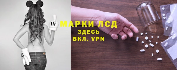 стаф Горнозаводск