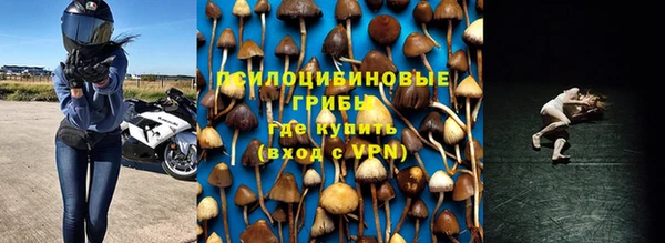 МДПВ Горняк