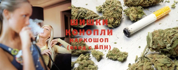 прущие грибы Струнино