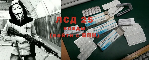 стаф Горнозаводск