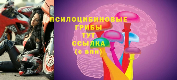 МДПВ Горняк