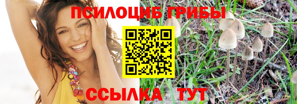Волжск  Псилоцибиновые грибы Magic Shrooms  Псилоцибиновые грибы Psilocybe  Вход с VPN 