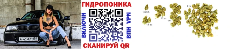 купить   Волжск  МАРИХУАНА конопля 